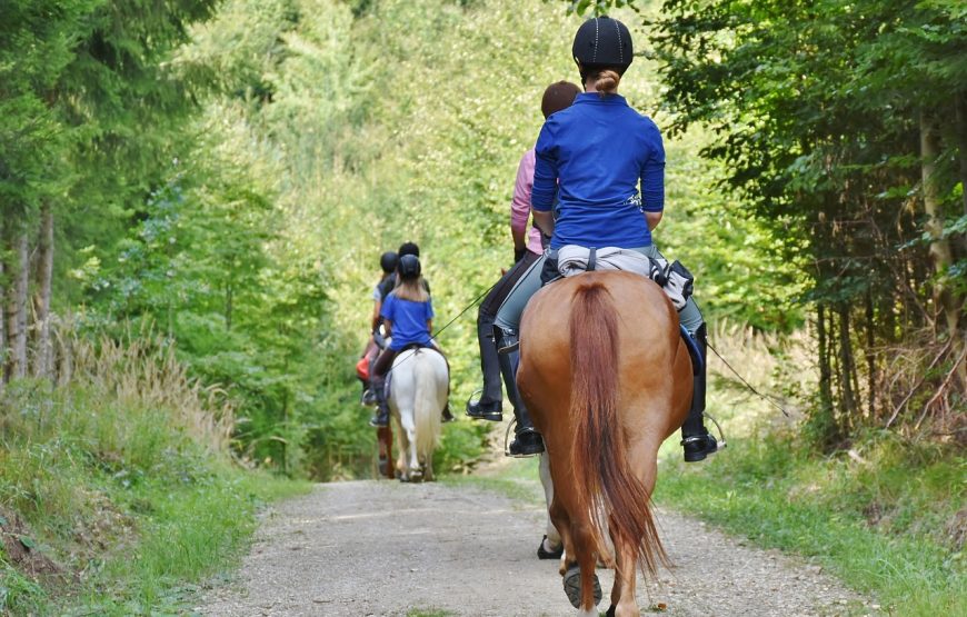 Horse Riding Experience in the Quarry of Modica